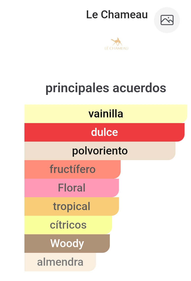 Arabia Haya Le Chameau 100ml