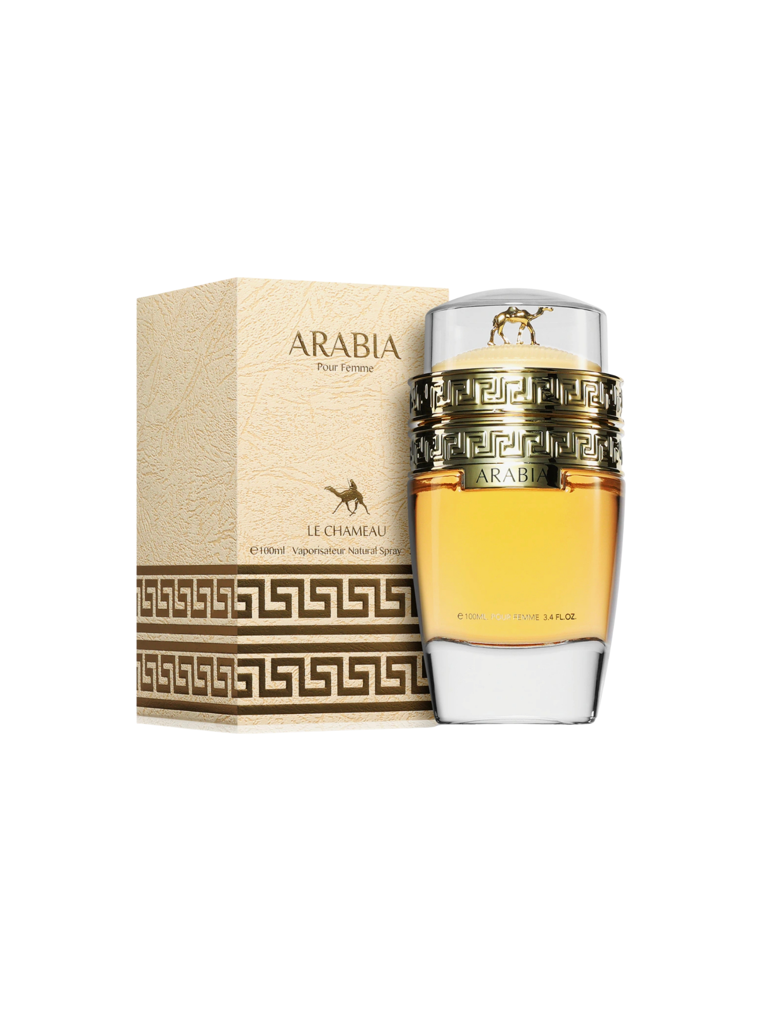 Arabia Malaak Le Chameau